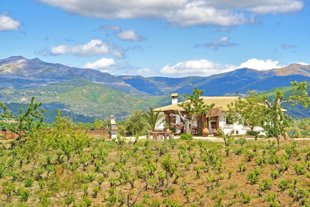 Casa Rural Júzcar 部屋 写真